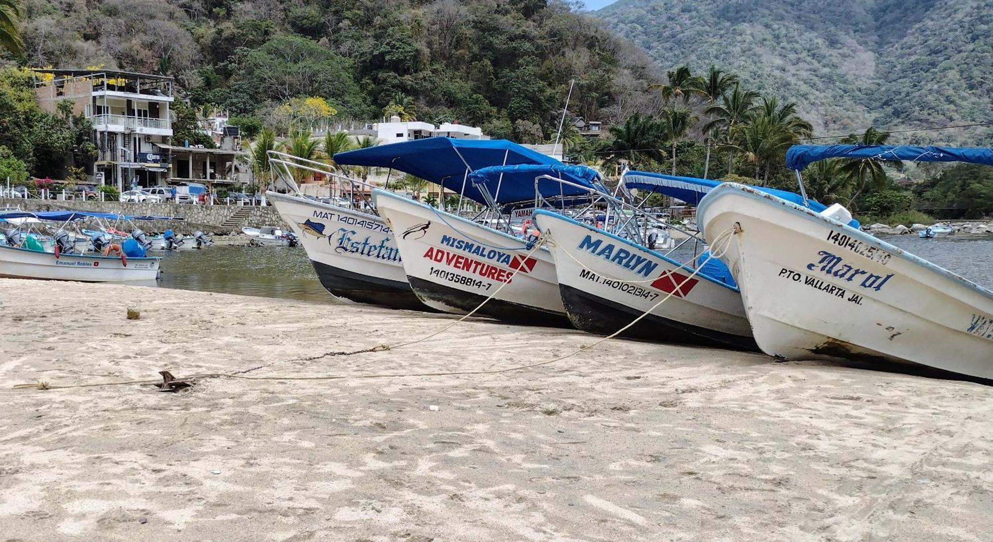 Villas Del Amor Amor Puerto Vallarta Eksteriør billede