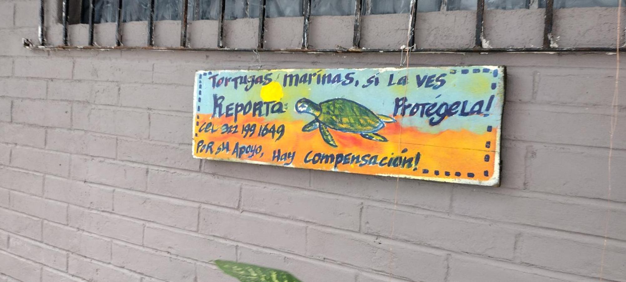 Villas Del Amor Amor Puerto Vallarta Eksteriør billede