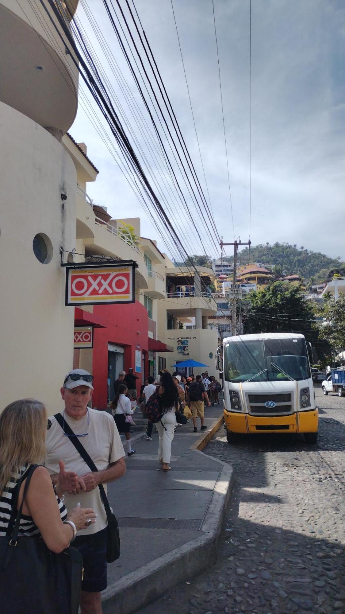 Villas Del Amor Amor Puerto Vallarta Eksteriør billede
